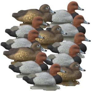 Standard Redhead 12pk