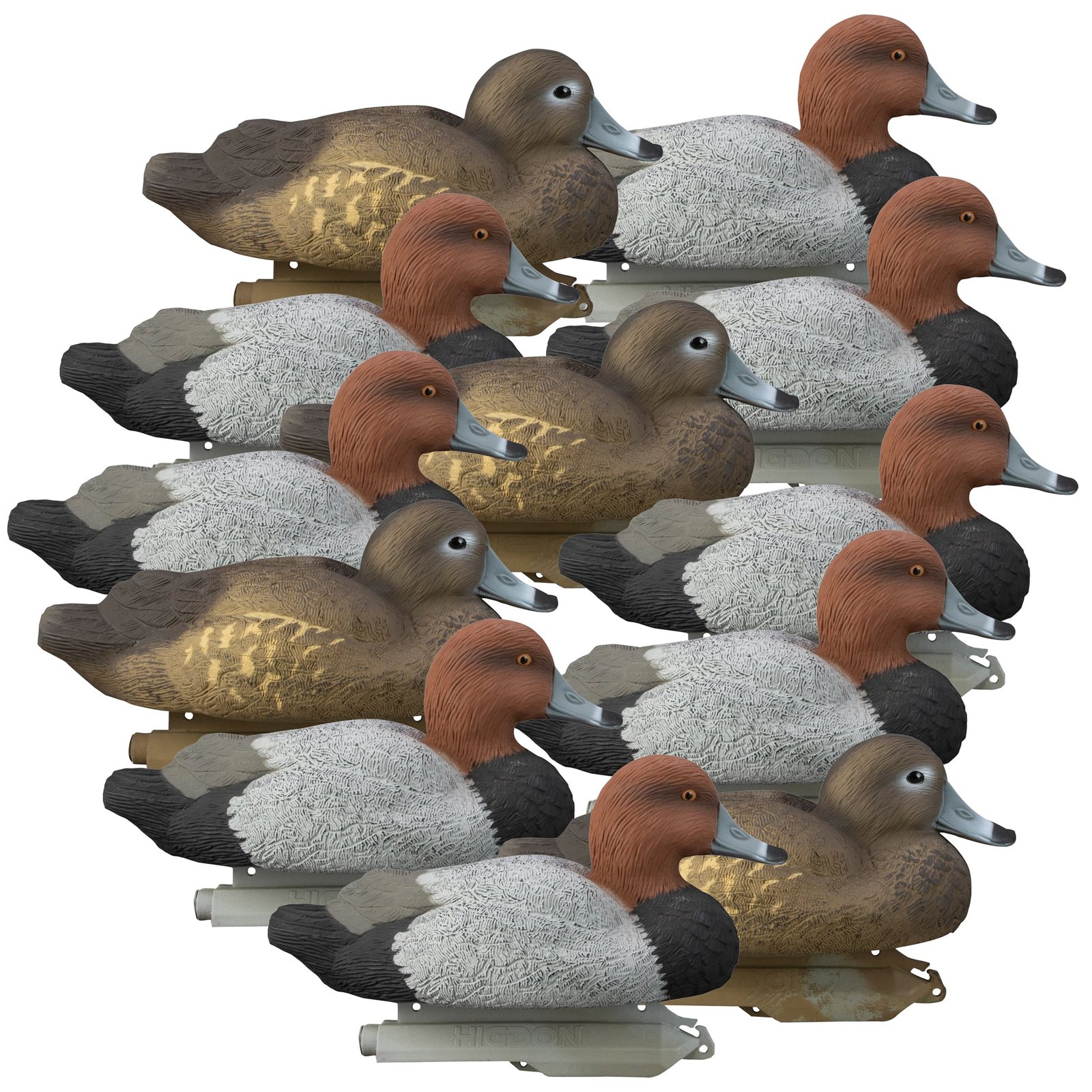 Standard Redhead 12pk
