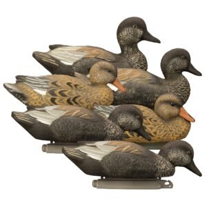 Standard Gadwall