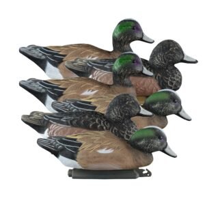 Standard Wigeon