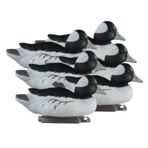 Standard Bufflehead 6pk