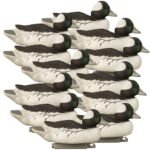 Standard Bufflehead 12pk