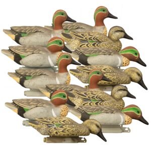 Standard Green Wing Teal 12pk