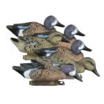Standard Blue Wing Teal 6pk