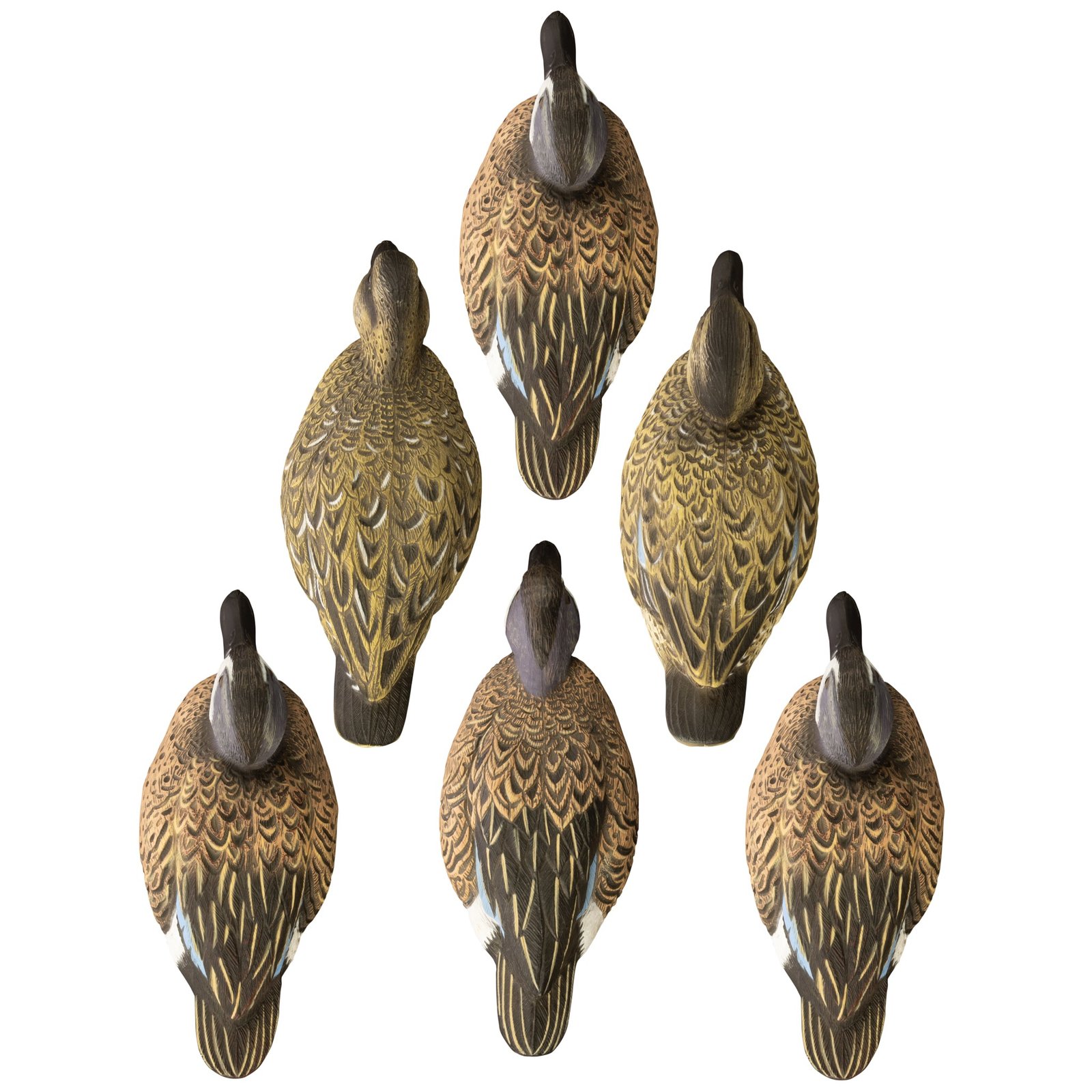 Standard Blue Wing Teal 6pk - Image 2