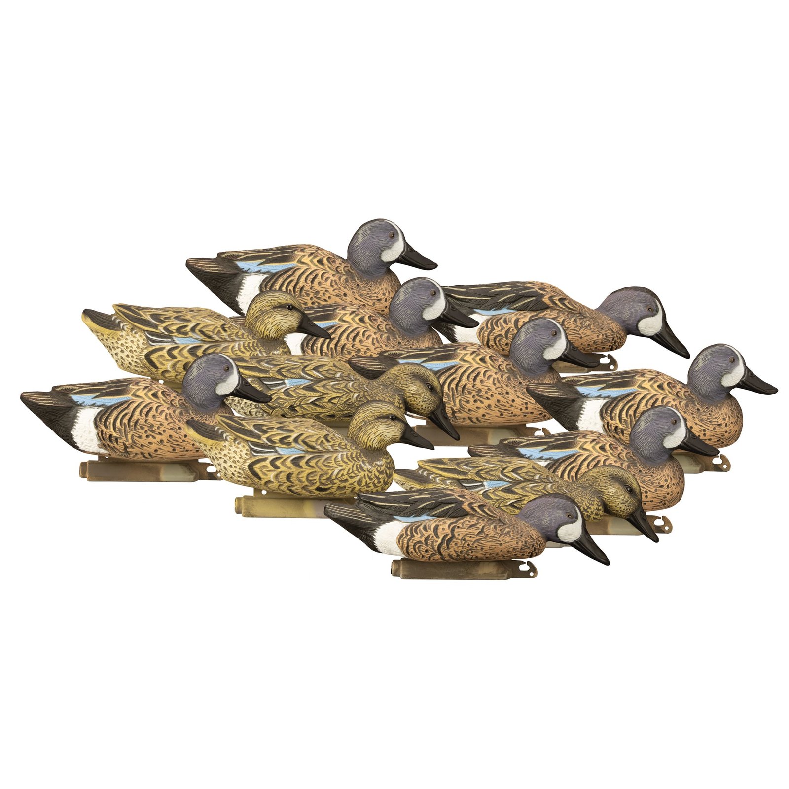 Standard Blue Wing Teal 12pk - Image 2