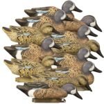 Standard Blue Wing Teal 12pk