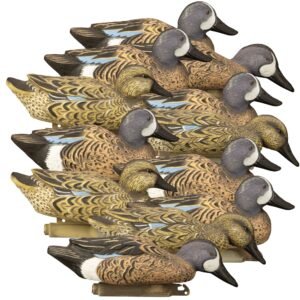 Standard Blue Wing Teal 12pk