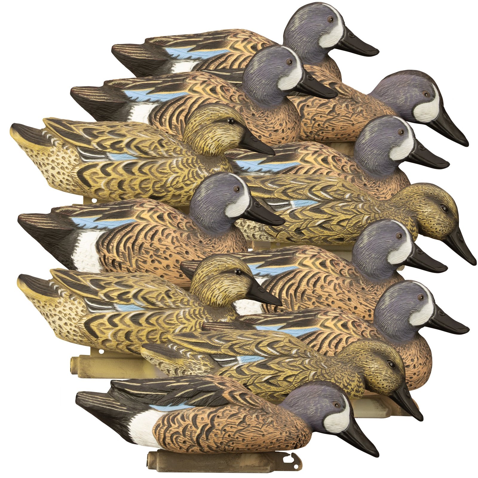 Standard Blue Wing Teal 12pk