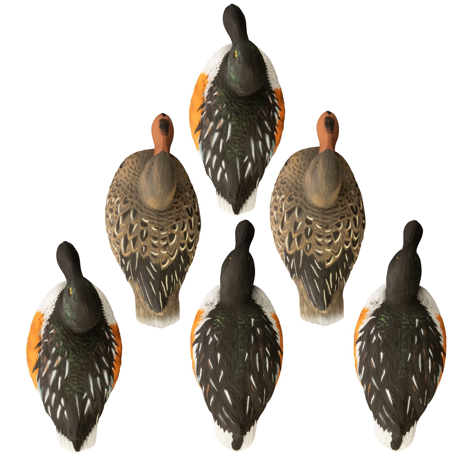 Standard Shoveler - Image 2
