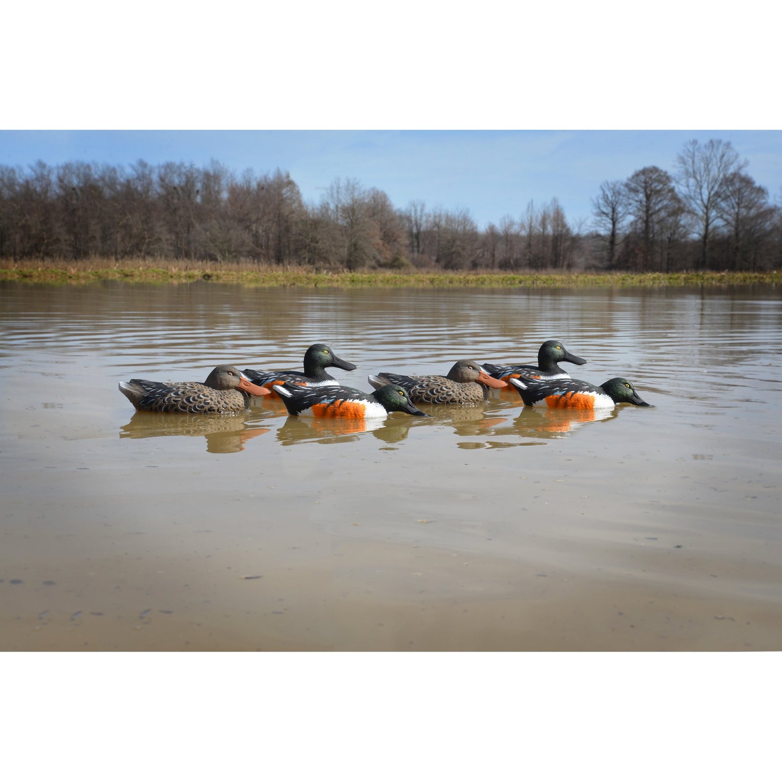 Standard Shoveler - Image 3