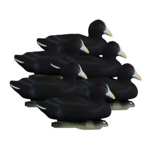 Standard Coot
