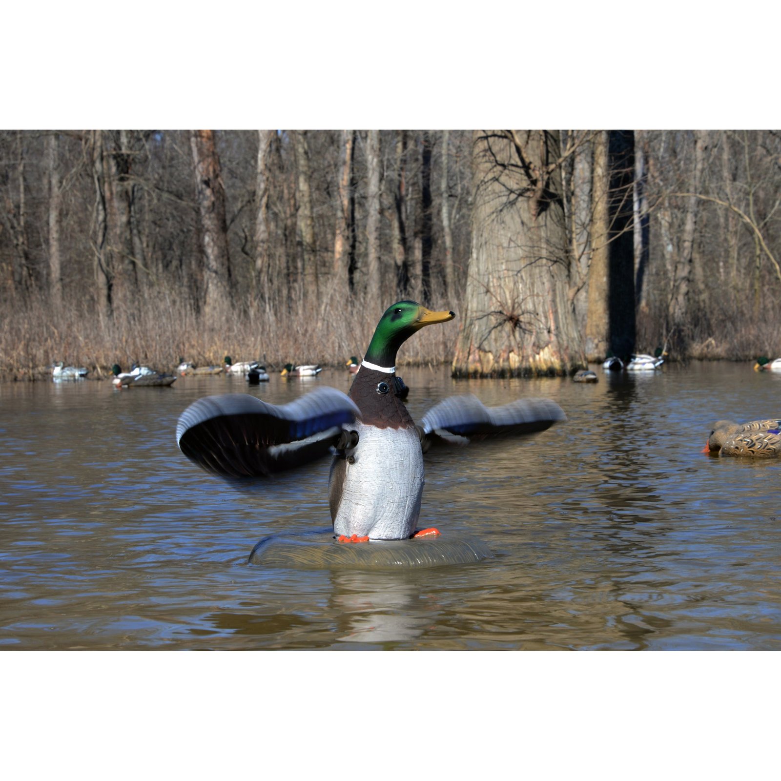 XS Floating Flasher-Mallard Drake - Image 3