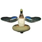 XS Splashing-Flasher-Mallard Drake