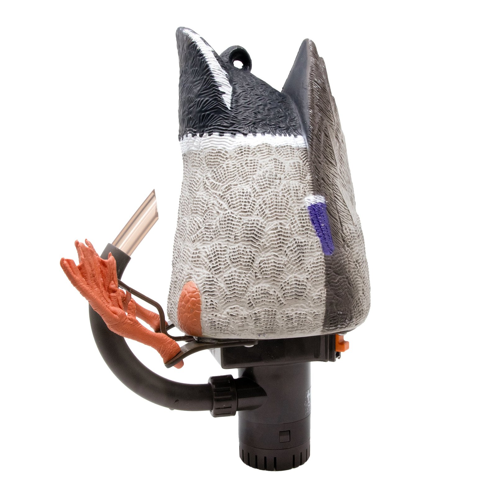 Pulsator PRO Guide Pack - Image 3