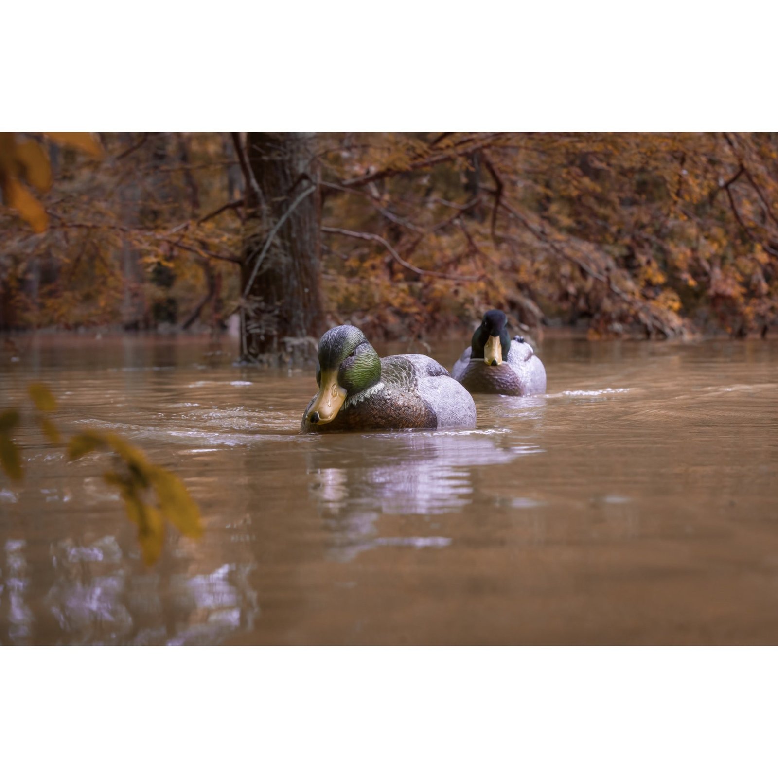 Battleship Swimmer PRO, Guide Pack, Mallard Drake - Image 9