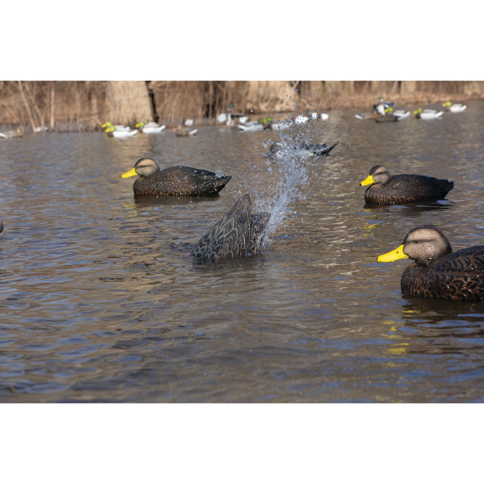Pulsator PRO Black Duck - Image 6