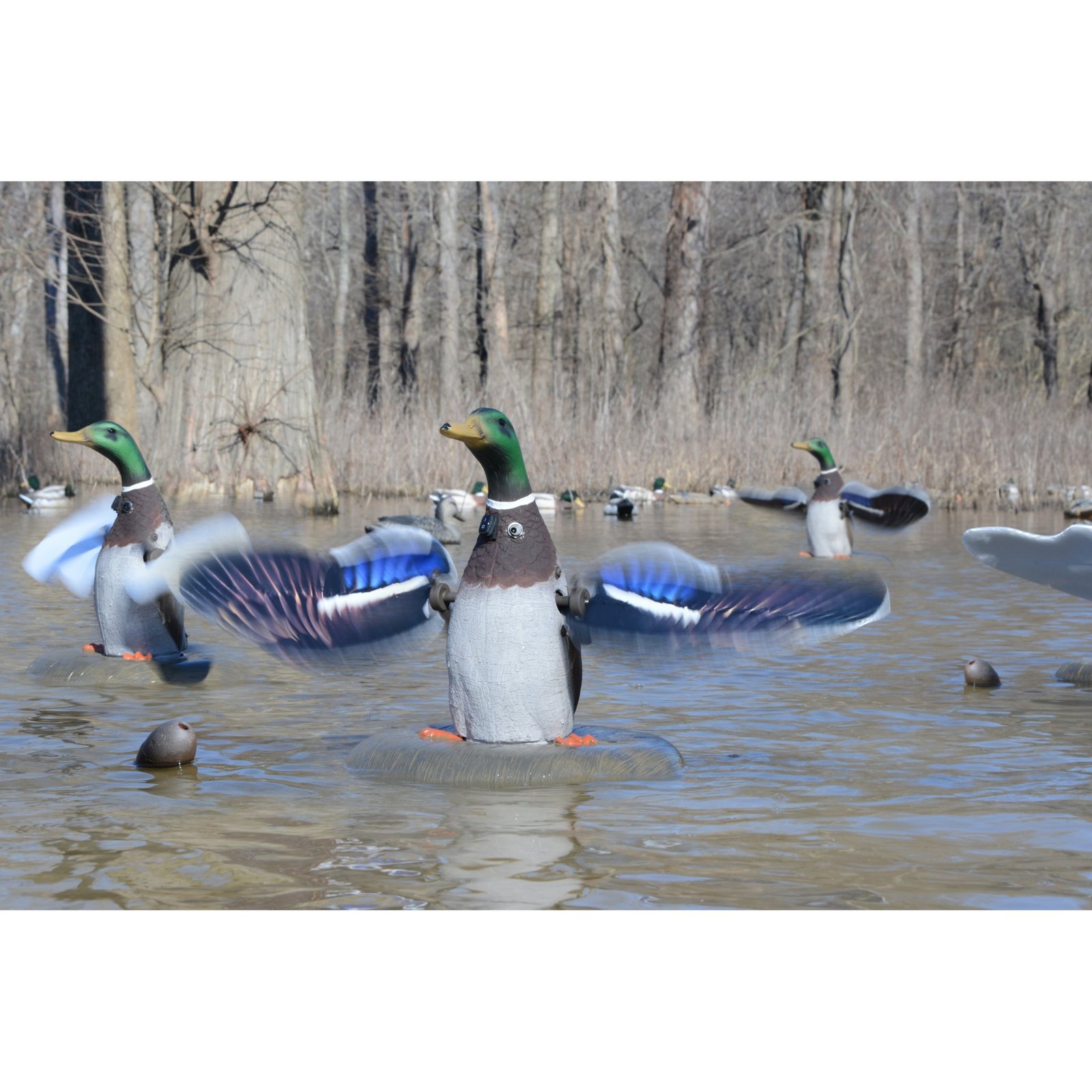 Floating Flasher2, Plug N Hunt, 4 Unit Hard Wire System - Image 2