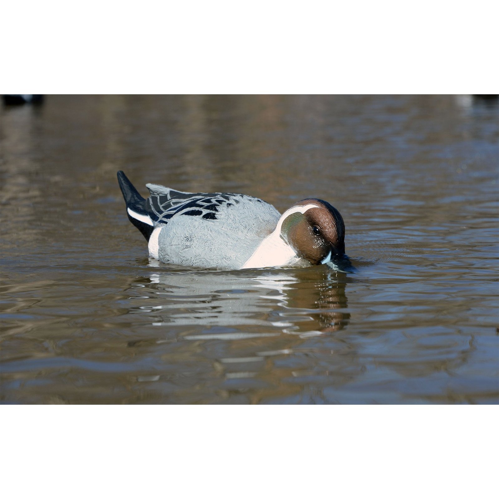 Battleship Swimmer PRO, Pintail - Image 2