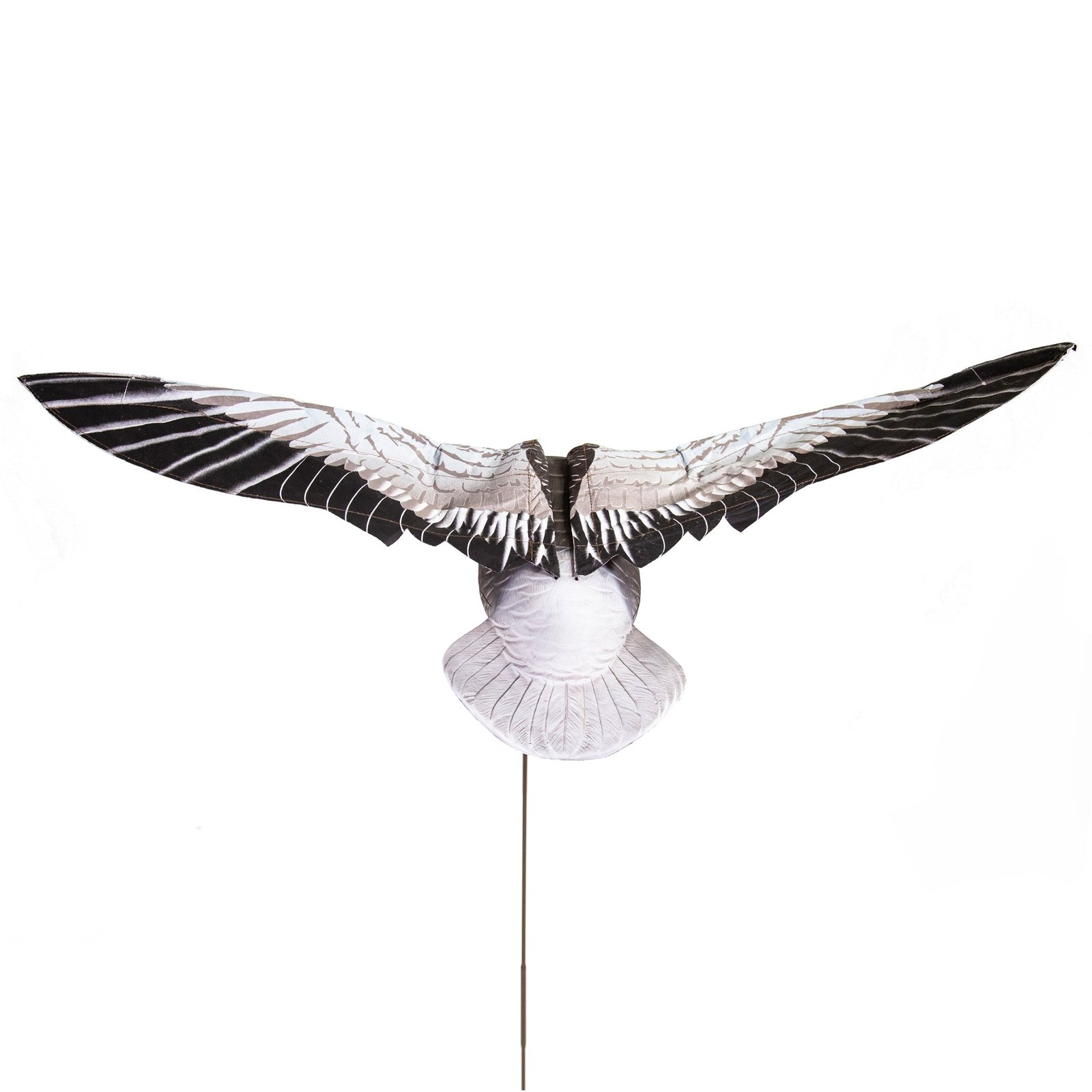 Clone Blue Goose - Image 3