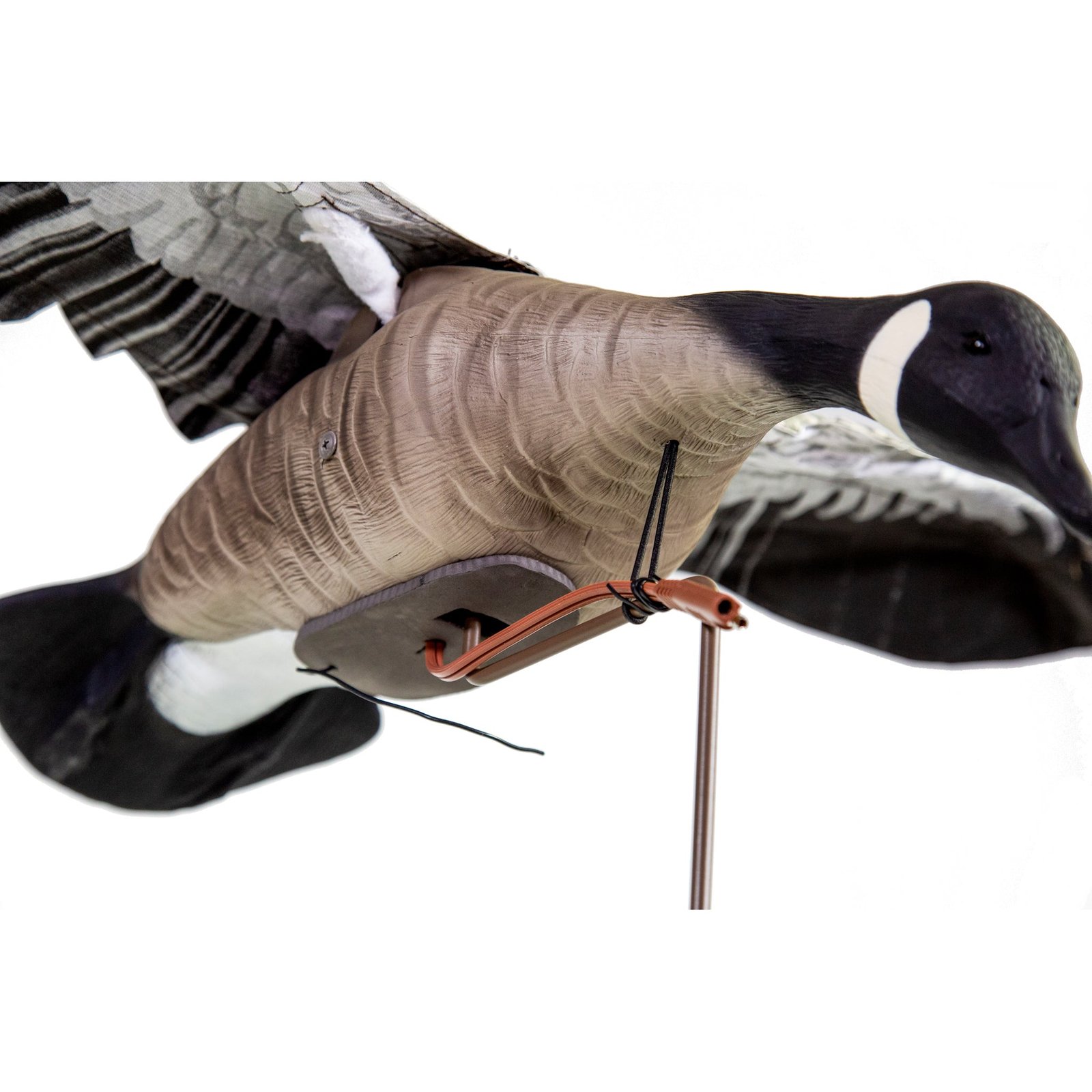 Clone Canada Goose - Image 2