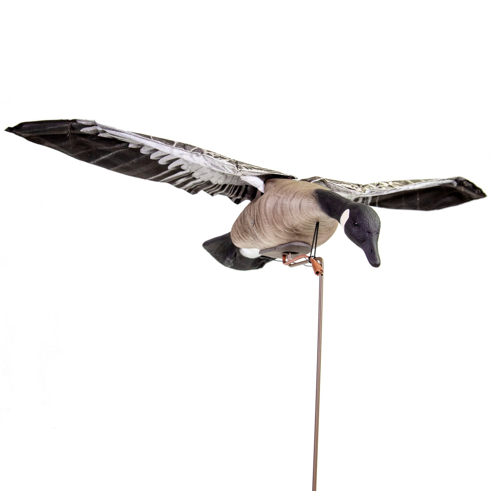 Clone Canada Goose - Image 4