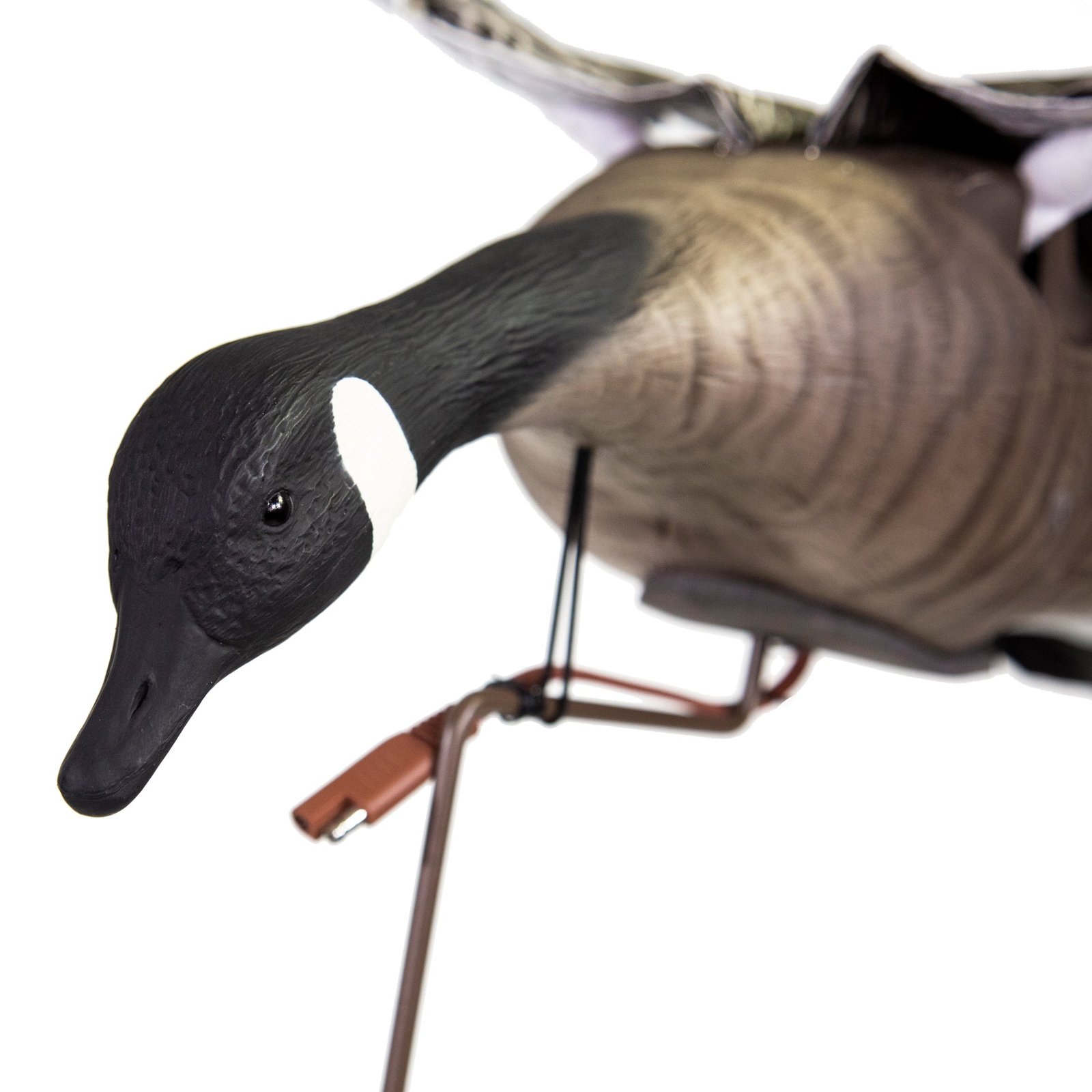 Clone Canada Goose - Image 3