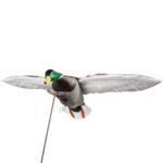 Clone Mallard Drake