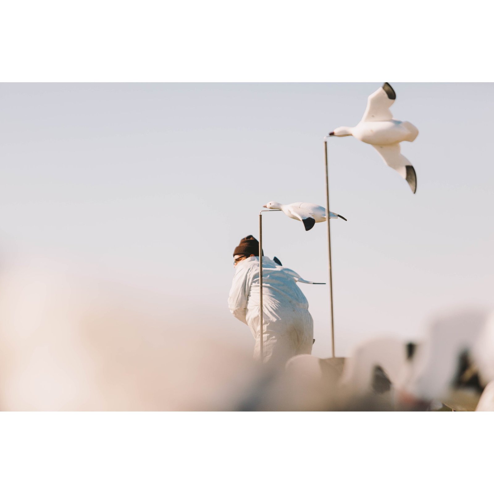 Feather Flyers Snow Goose - Image 5