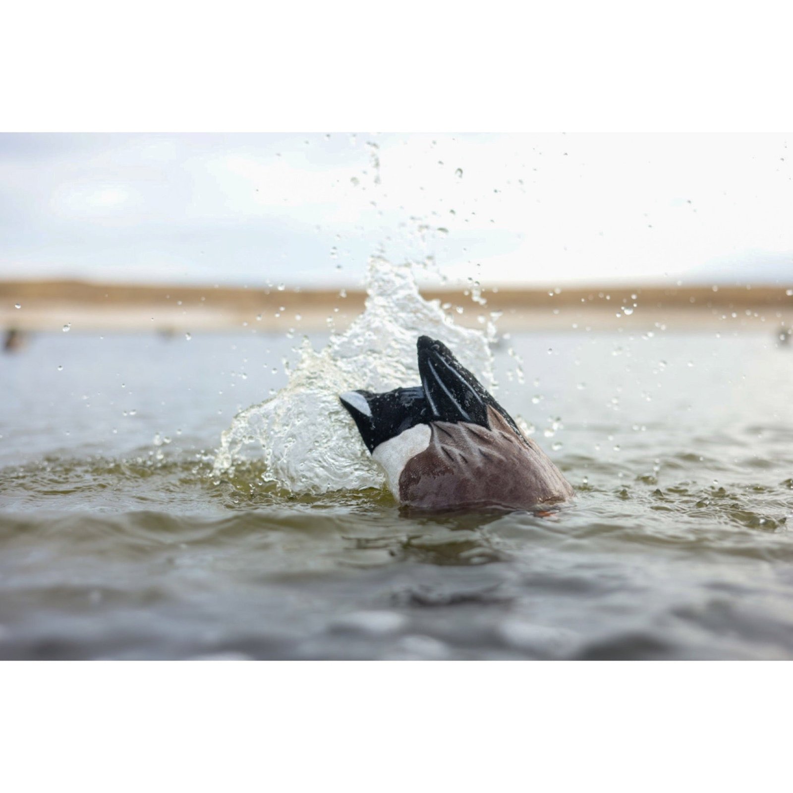 Pulsator PRO Wigeon - Image 6