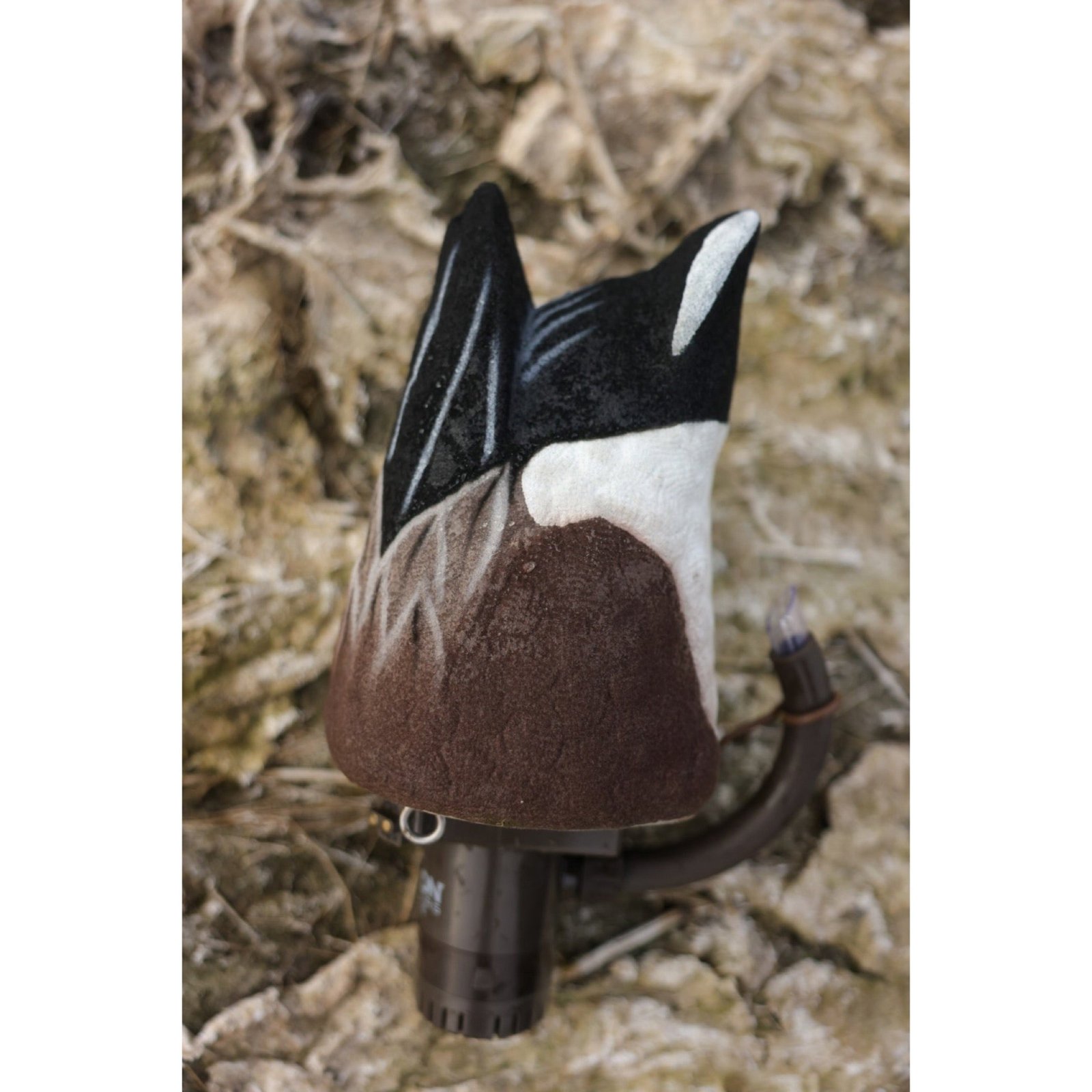 Pulsator PRO Wigeon - Image 7
