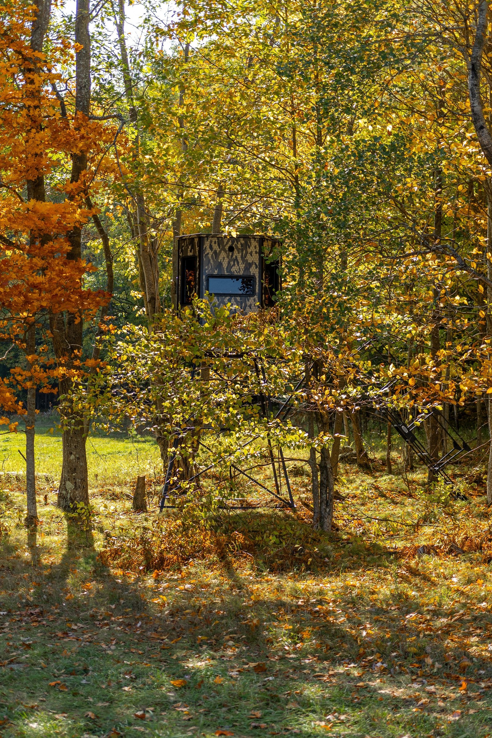 Orion 68VT - Modular Archery Deer Hunting Blind with Tinted Windows - Image 6