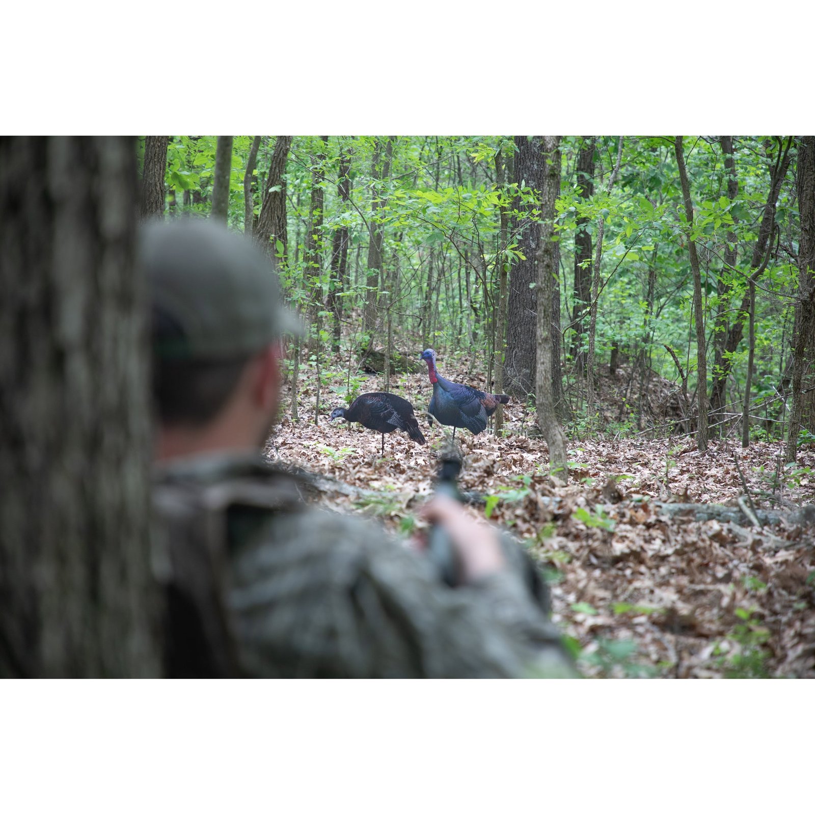 FLEX Turkey Tom and Hen Silhouette - Image 4