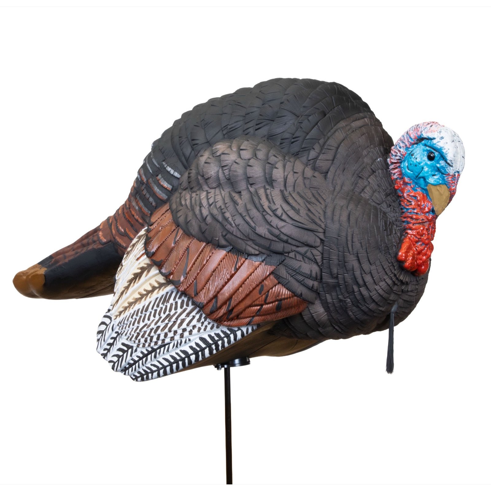 Hard Body Breeding Jake Turkey