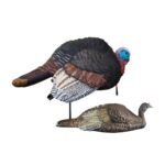 Breeding Jake & Jill Turkey Combo