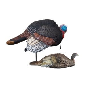 Breeding Jake & Jill Turkey Combo