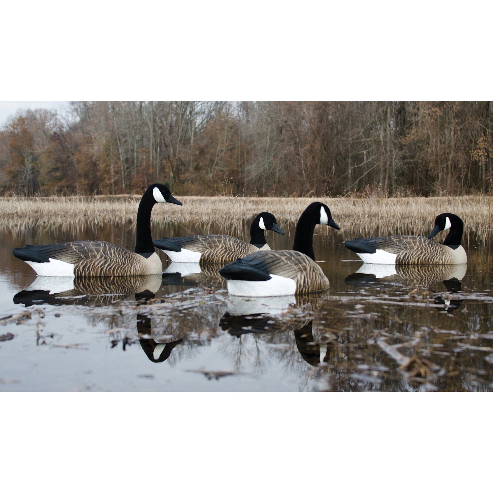 Alpha Magnum Goose Floater-Canada - Image 4