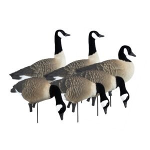 APEX Full-Size Full-Body-Canada