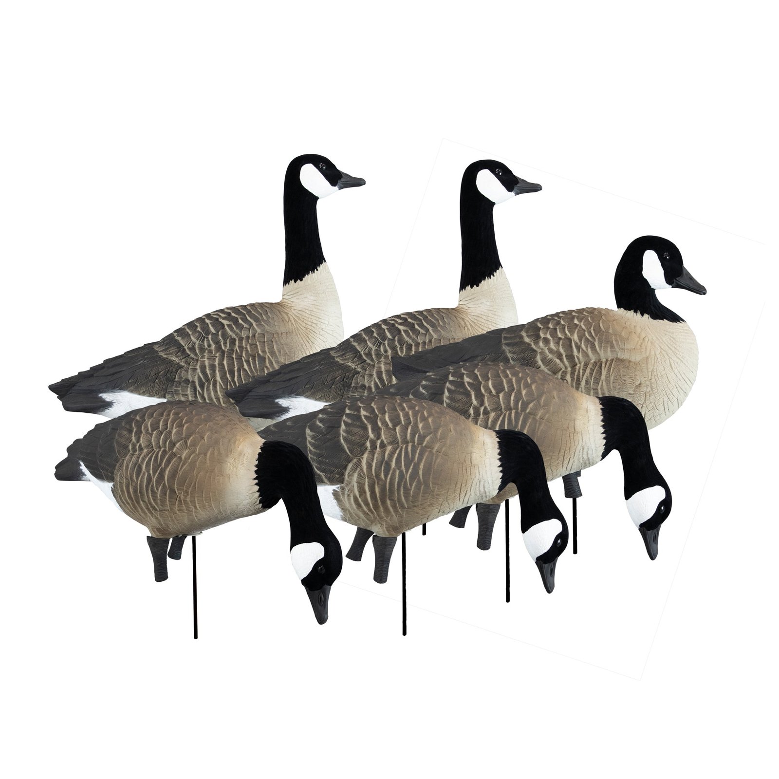 APEX Full-Size Full-Body-Canada