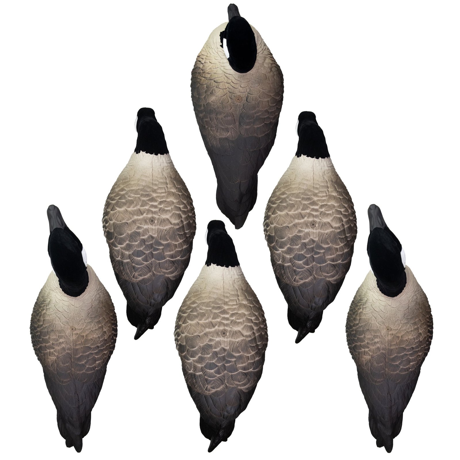 APEX Full-Size Full-Body-Canada - Image 2
