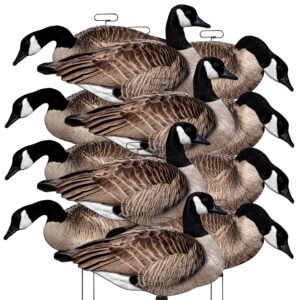 FLATS Canada Goose Motion Silhouette