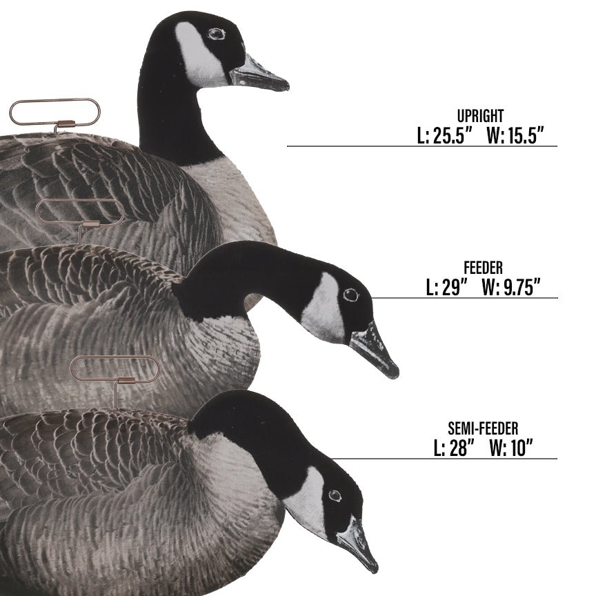 FLATS Canada Goose Motion Silhouette, Flocked - Image 4
