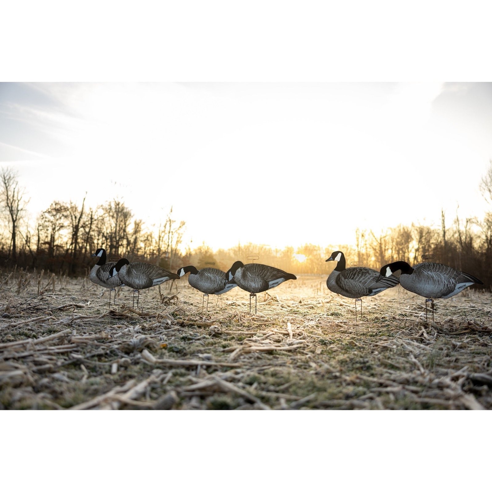 FLATS Canada Goose Motion Silhouette, Flocked - Image 5