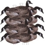 FLATS Canada Goose Standard Silhouette