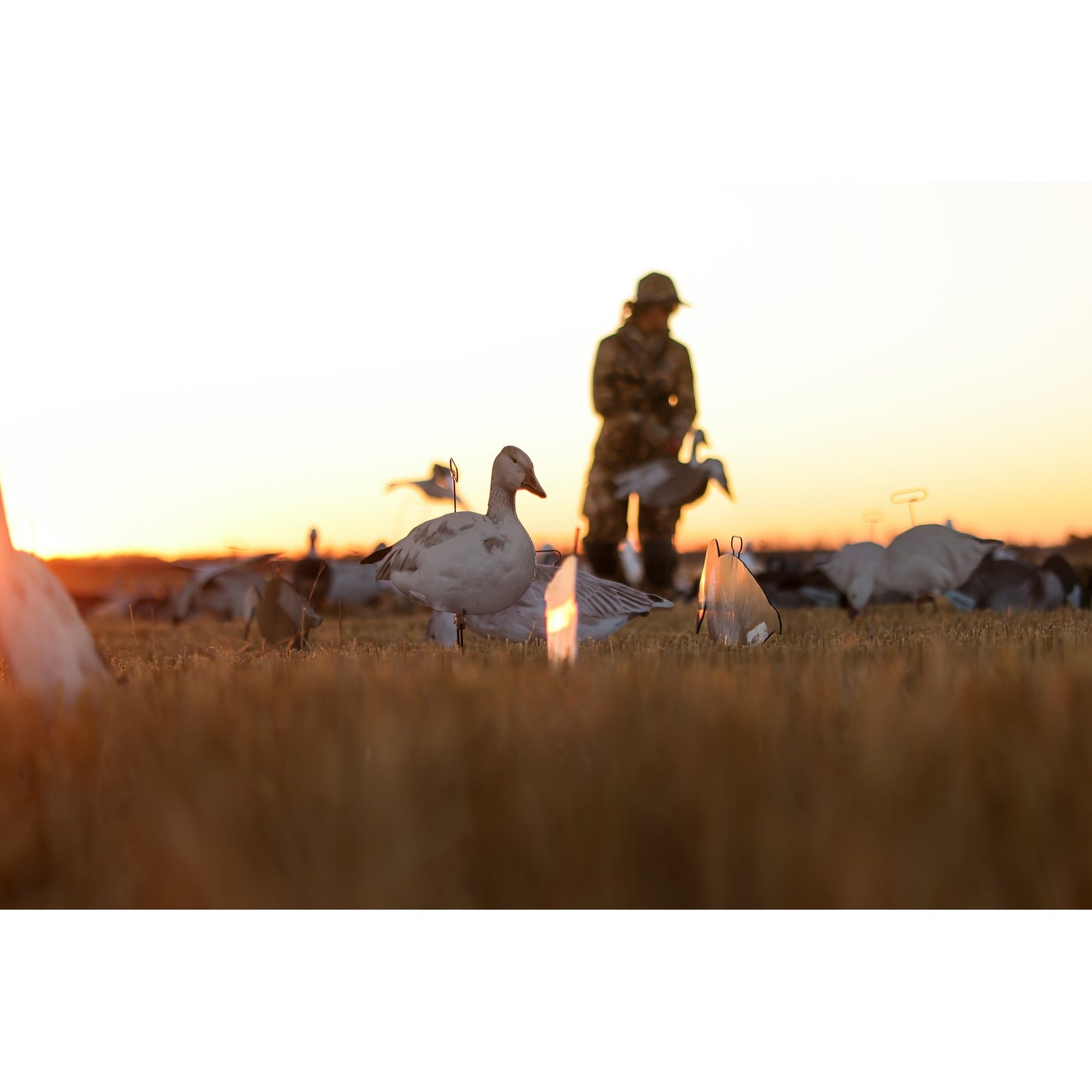 FLATS Snow/Juvie Goose Motion Silhouette - Image 8