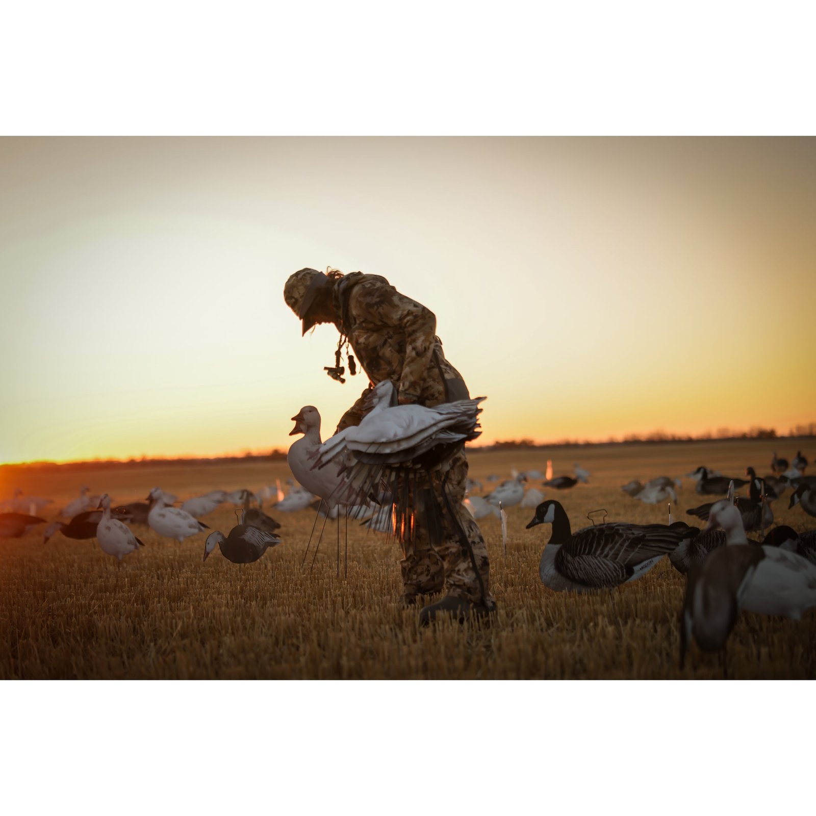 FLATS Snow/Juvie Goose Motion Silhouette - Image 9