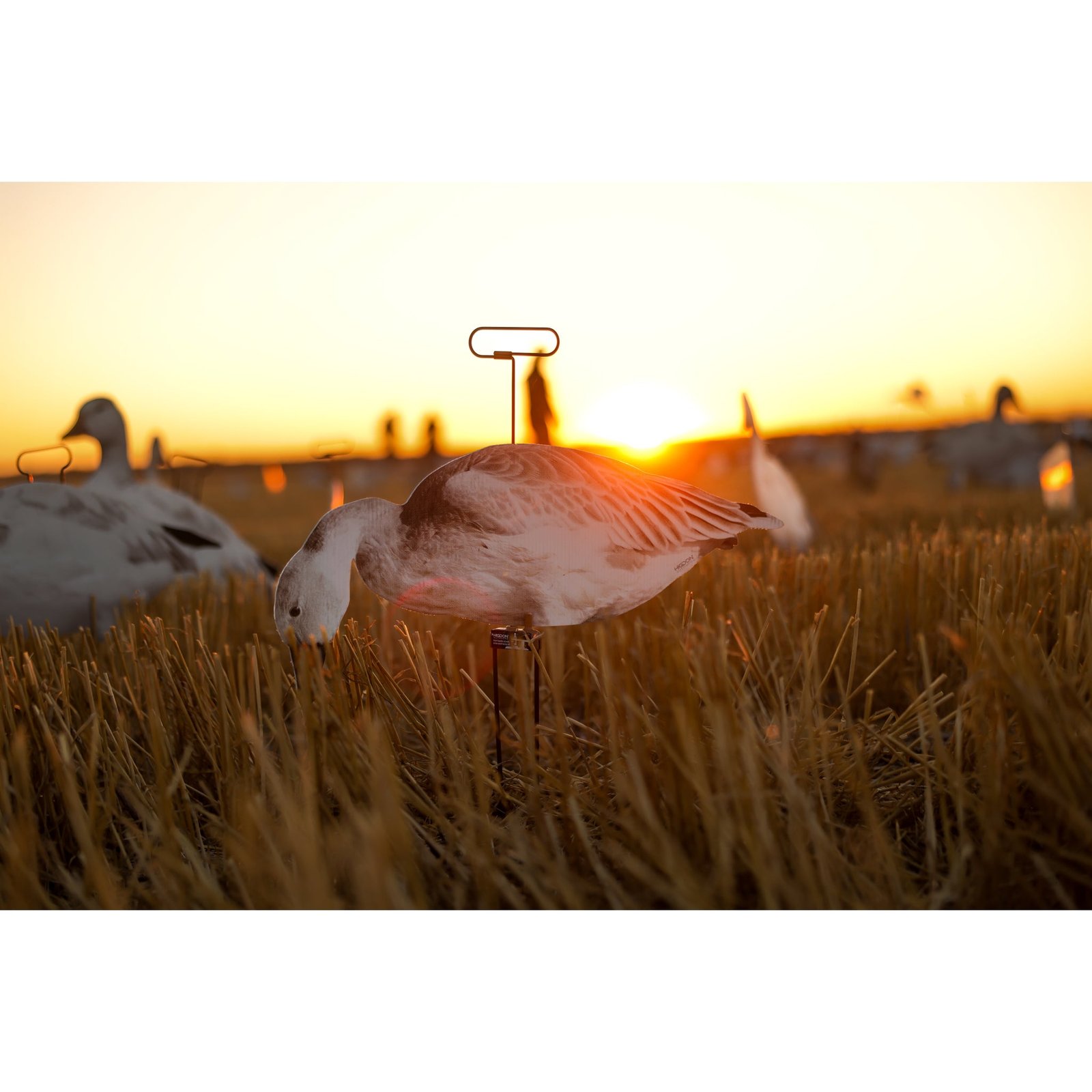 FLATS Snow/Juvie Goose Motion Silhouette - Image 11