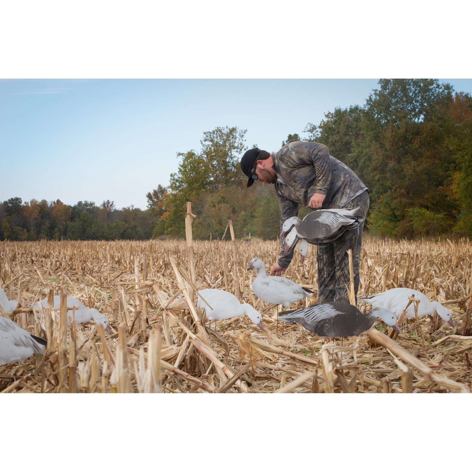 FLATS Snow/Juvie/Blue Goose Standard Silhouette - Image 12