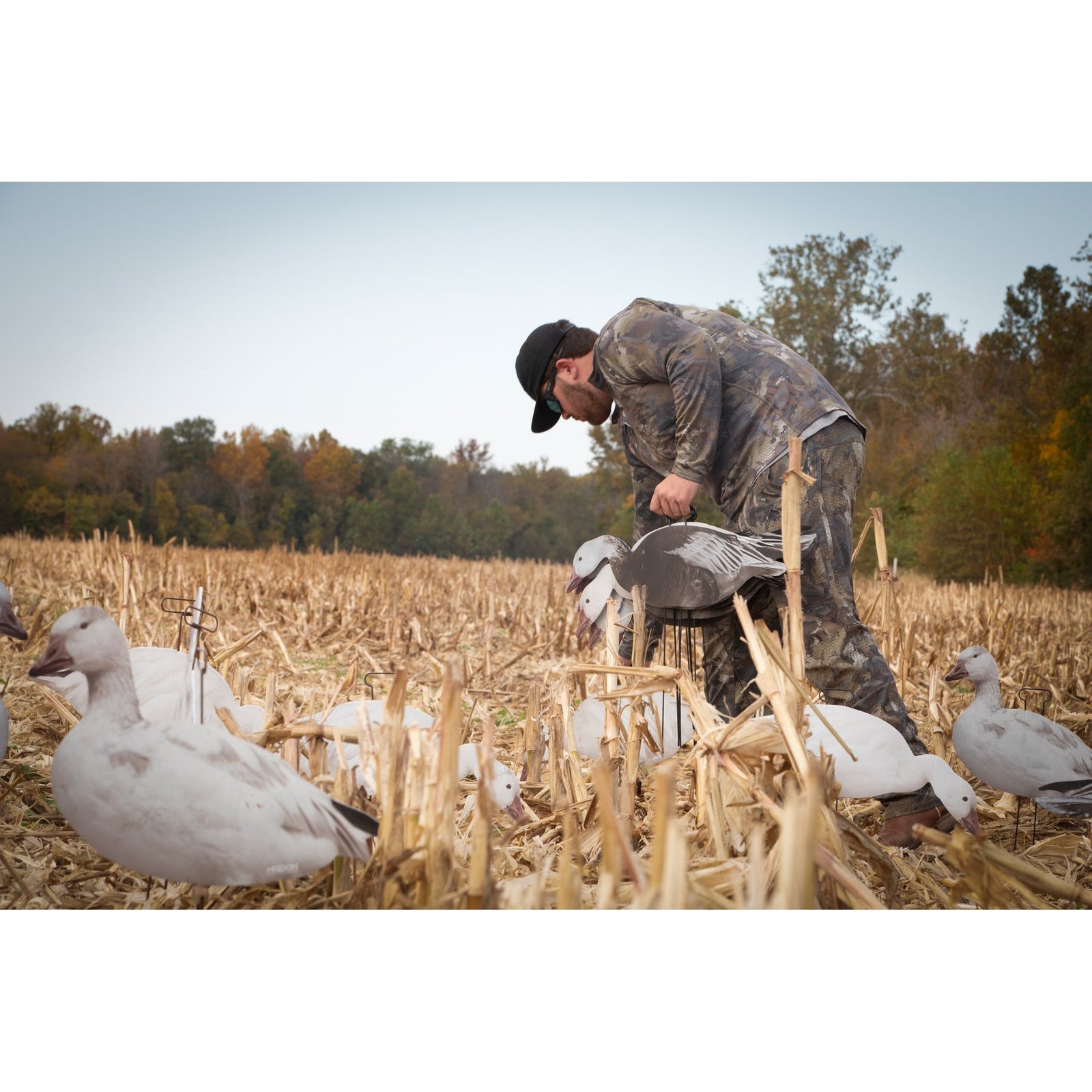 FLATS Snow/Juvie/Blue Goose Standard Silhouette - Image 9