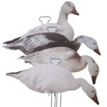 FLATS Snow/Juvie/Blue Goose Standard Silhouette